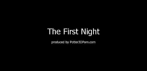  The First Night